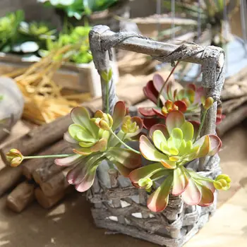 Umelé succulents Realisticky Mini Umelé Rastliny Falošné Kvetinové svadobné dekorácie pre domov rastliny umelé DF48563